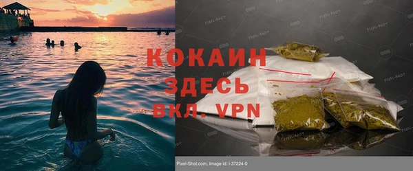 ПСИЛОЦИБИНОВЫЕ ГРИБЫ Белоозёрский