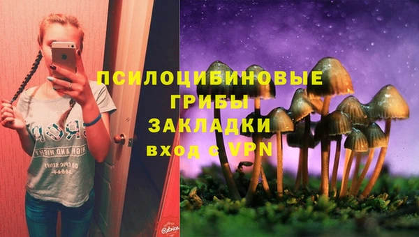 тгк Беломорск